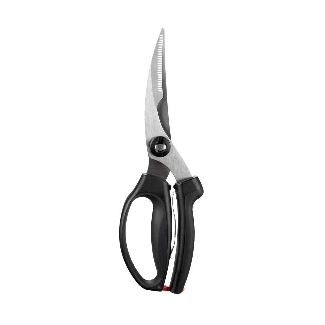 poultry-shears-n3 1072292V3.jpg