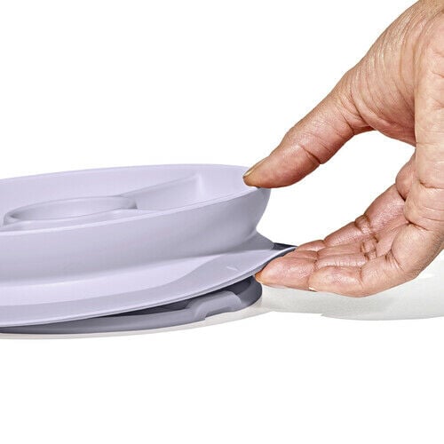 stick-and-stay-suction-divided-plate-g0 1134515a-7af7-4d77-8ad1-4534fbb13d49.jpg