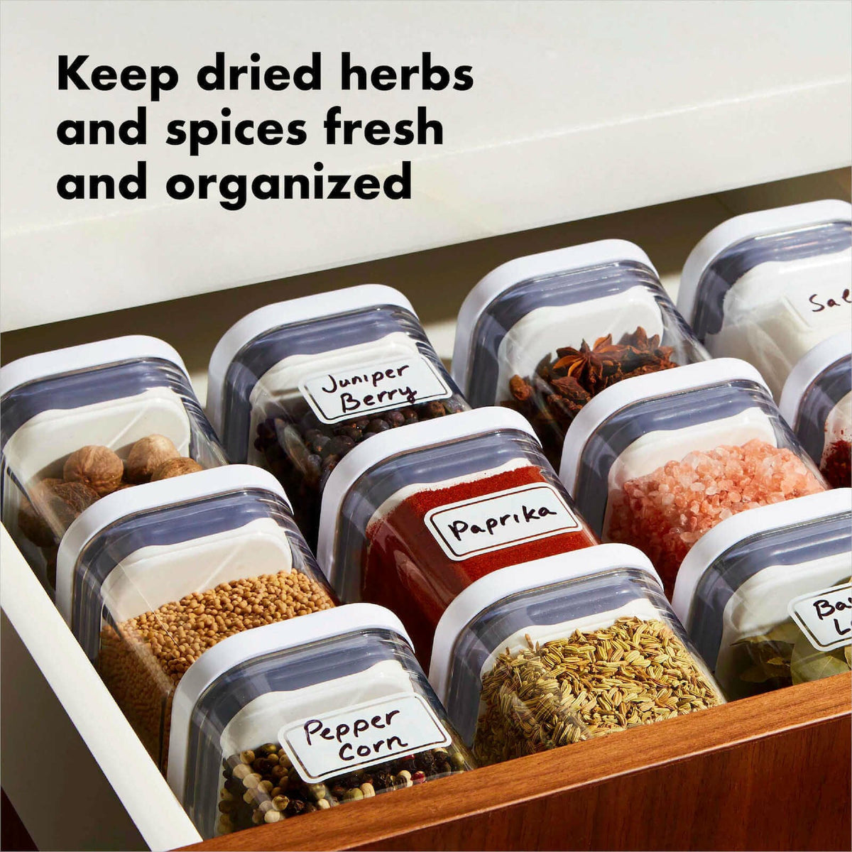 pop-4-piece-mini-container-set-z7 4_pieceaplusartboard_1-100_1_1_.jpg