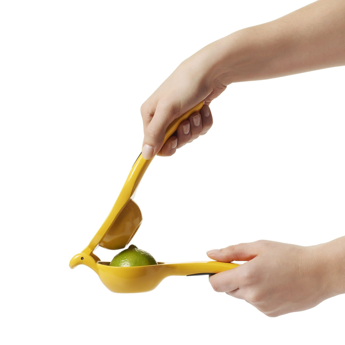 citrus-squeezer-t5 gg_1057962_4a.jpg
