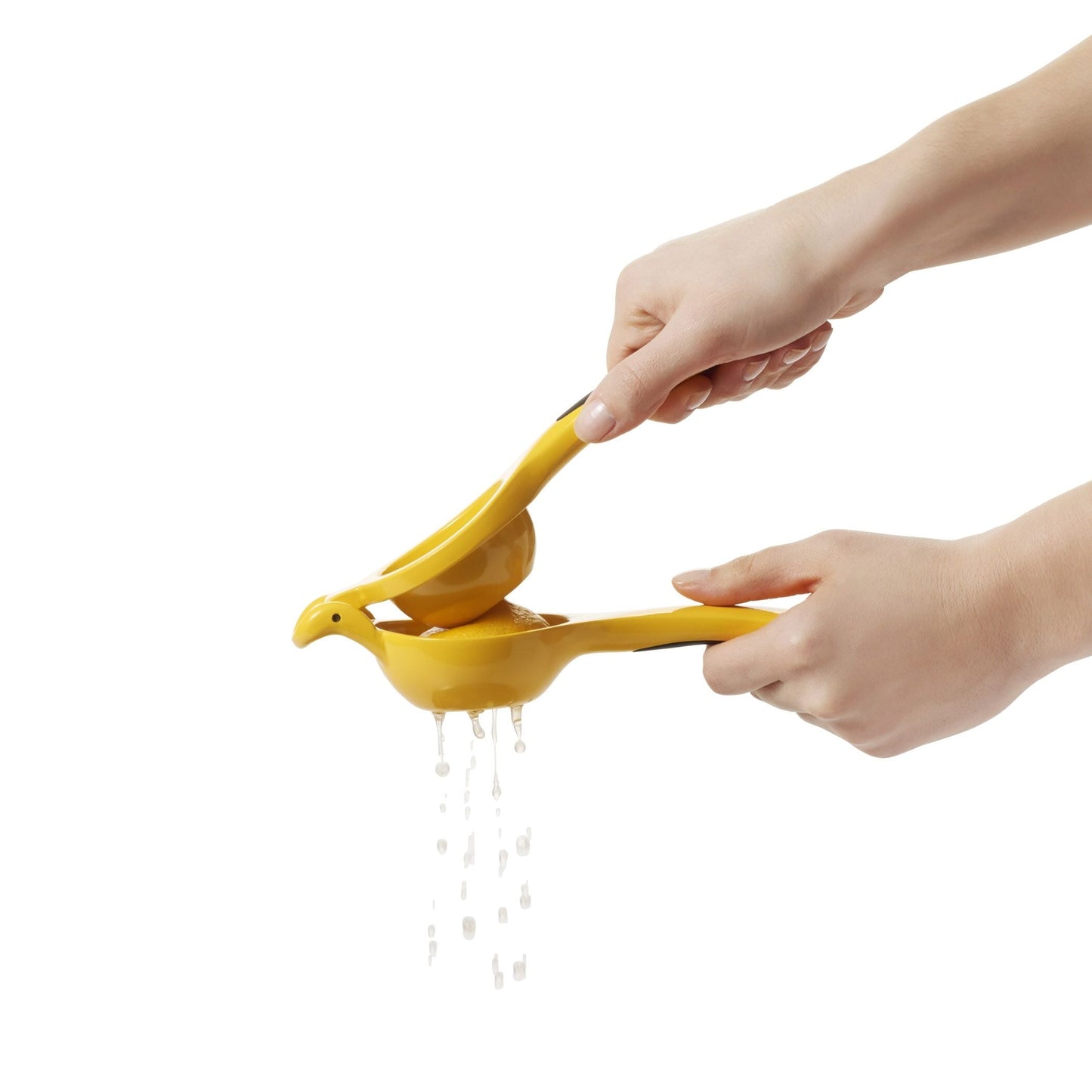 citrus-squeezer-t5 gg_1057962_4b.jpg