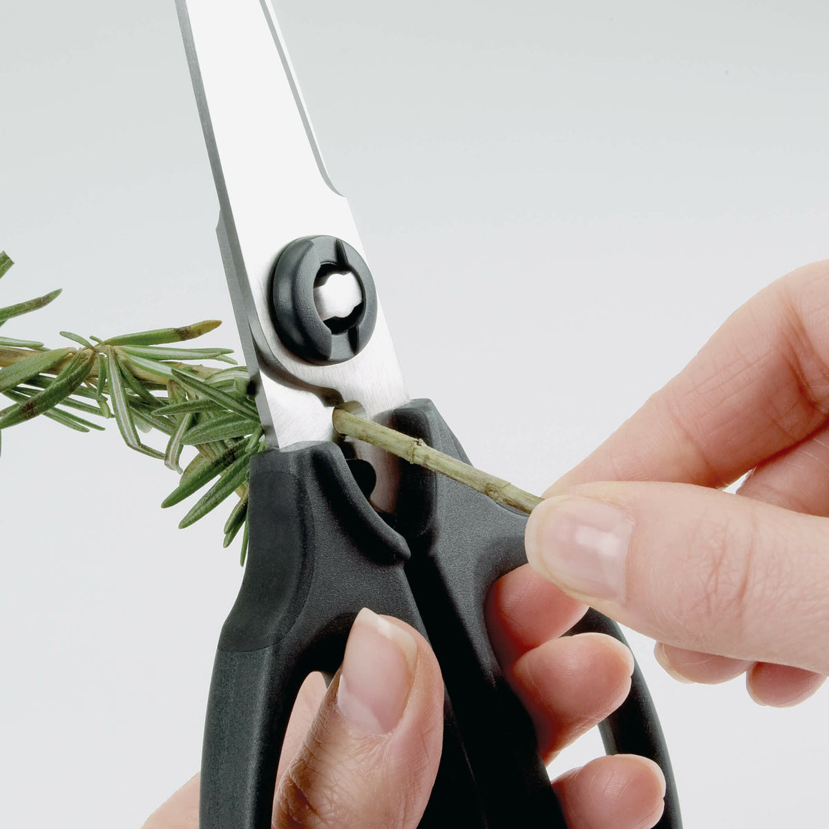 kitchen-and-herb-scissors-e8 gg_1072121_3_1_.jpg
