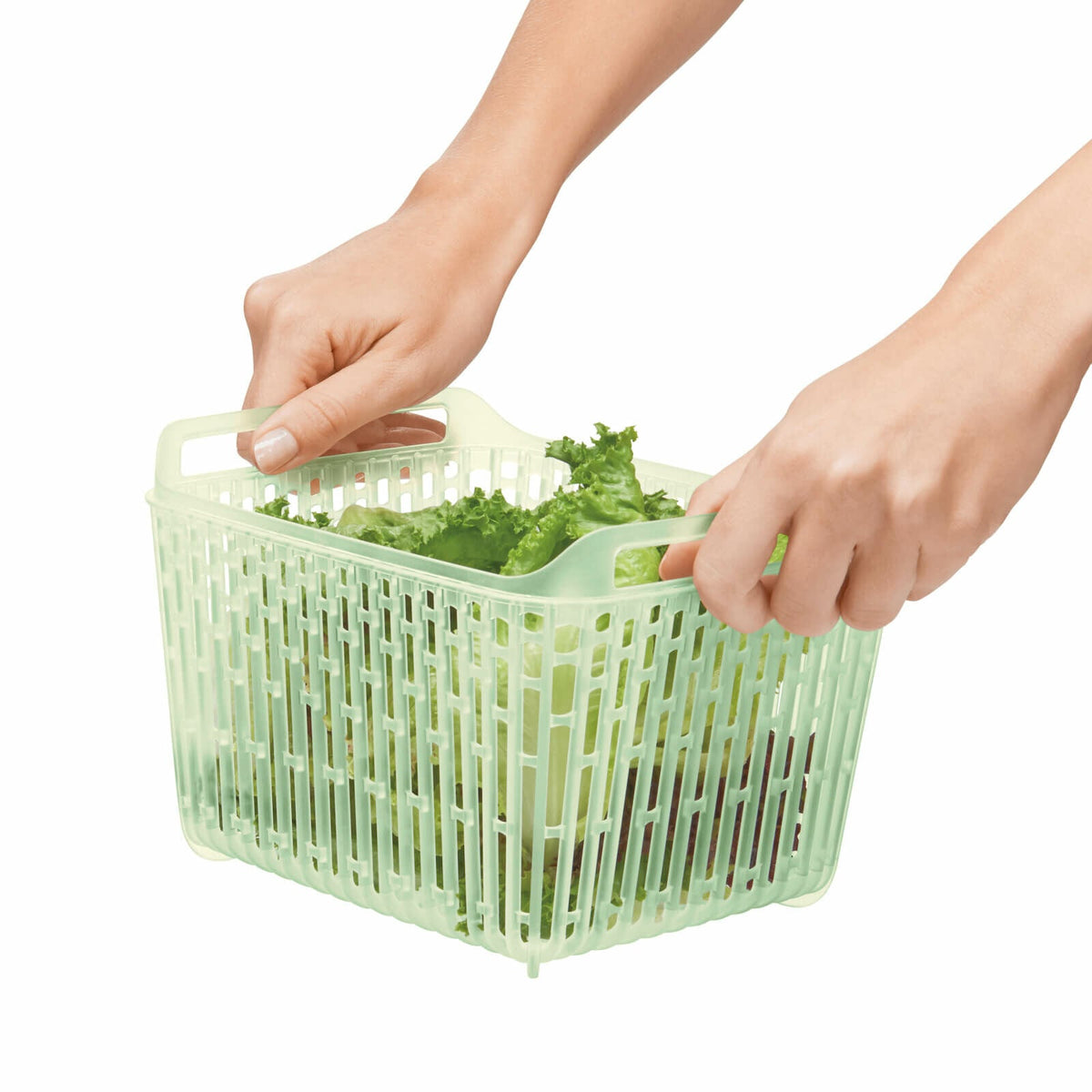 greensaver-produce-keeper-4-3-qt-r1 gg_11140000_4c_1_.jpg