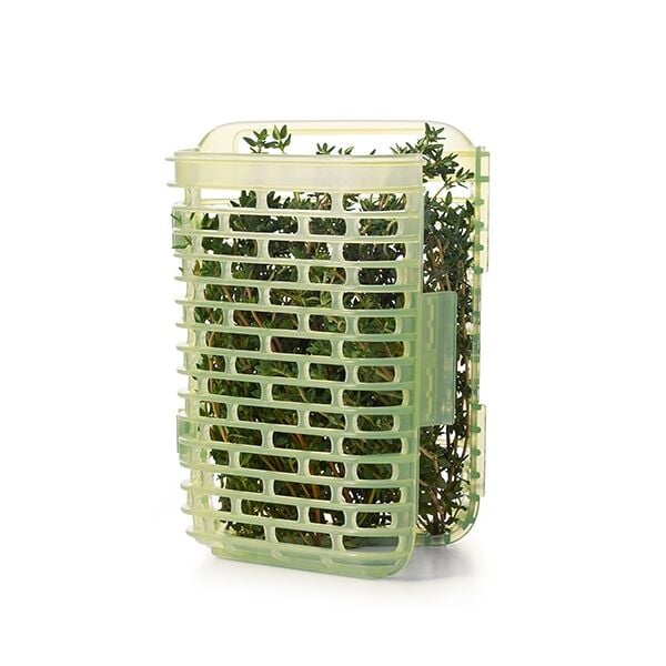 greensaver-herb-keeper-small-l6 gg_11212200_3b.jpg