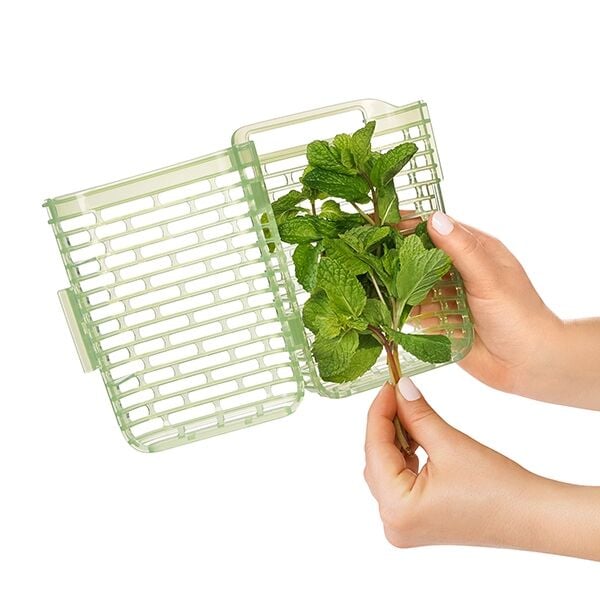 greensaver-herb-keeper-small-l6 gg_11212200_4.jpg