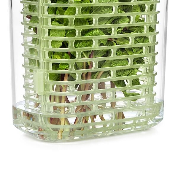 greensaver-herb-keeper-small-l6 gg_11212200_7.jpg