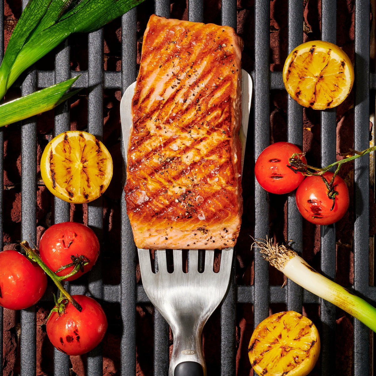 grilling-precision-turner-l3 gg_11309200_052020_11_rgb_1_.jpg