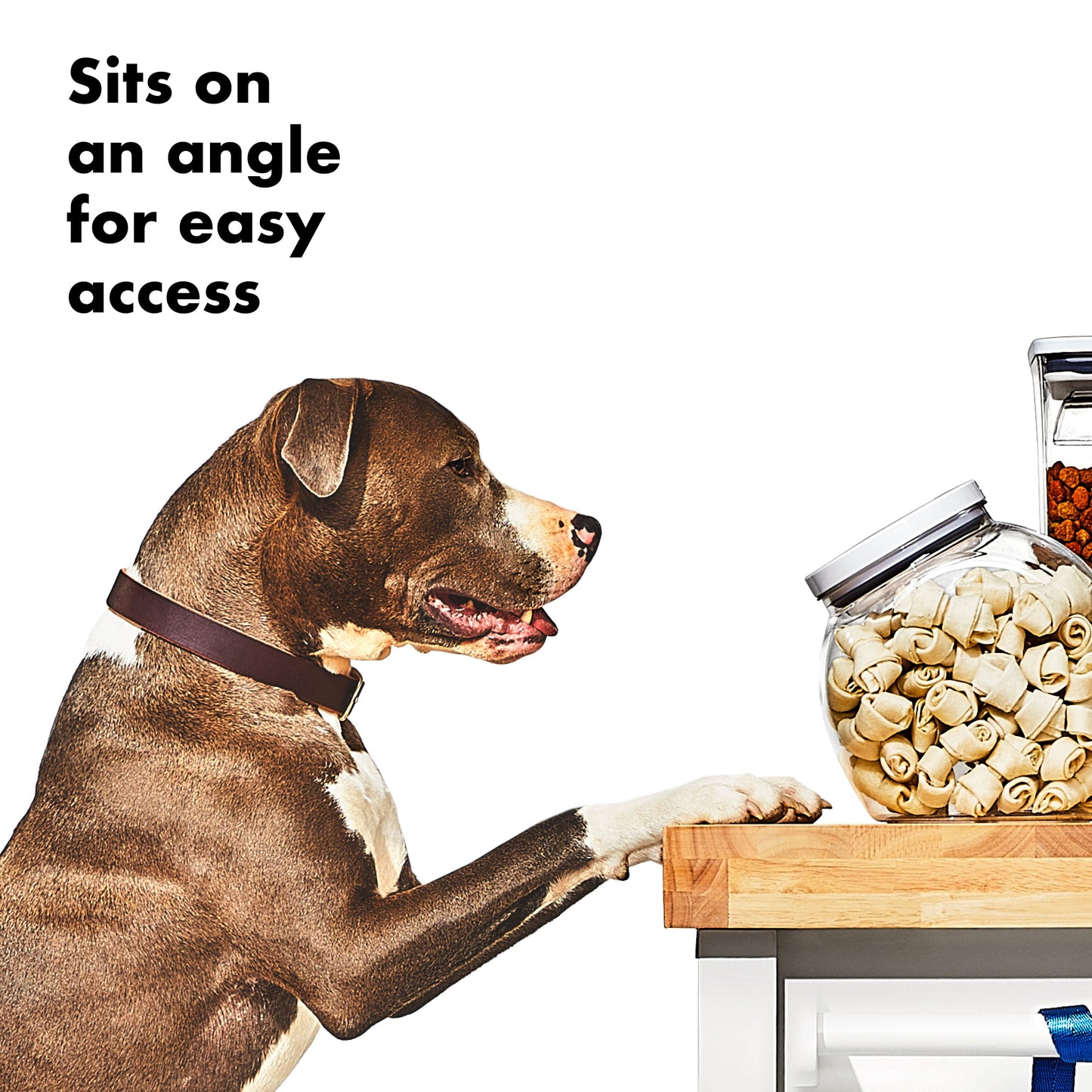 oxo-good-grips-pet-pop-container-3-0-qt-2-8-l-k9 gg_11332400_8b.jpg