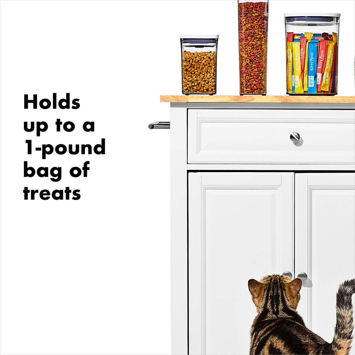 oxo-good-grips-pet-pop-container-1-1-qt-1-l-p9 gg_11332600_8.jpg