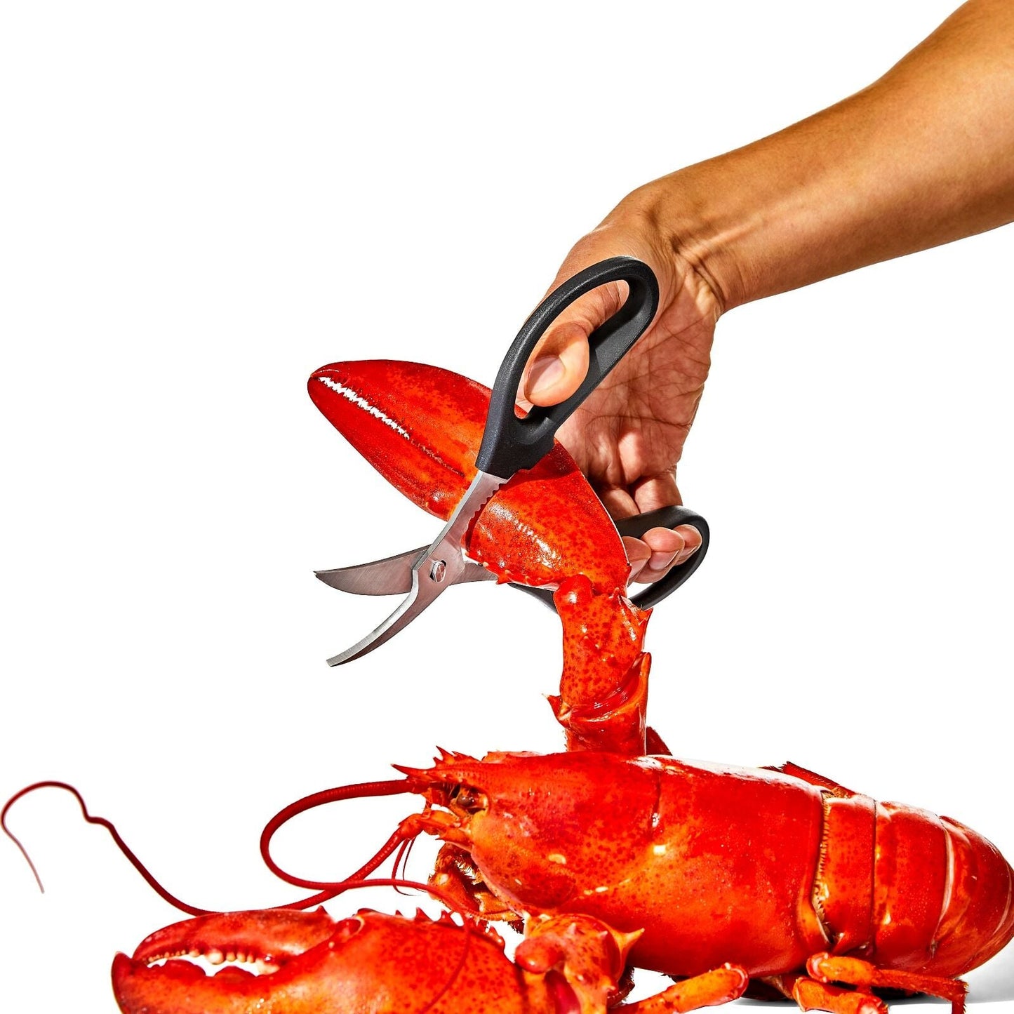seafood-scissors-m8 gg_11350600_seafoodscissors_03_p.jpg