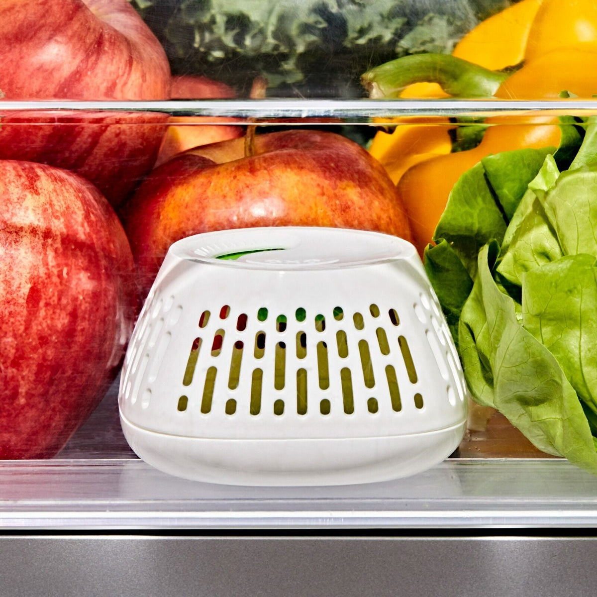 produce-saver-crisper-drawer-insert-2-pack-d6 gg_11427700_greensaver-crisper-drawer-insert_pdp_02.jpeg