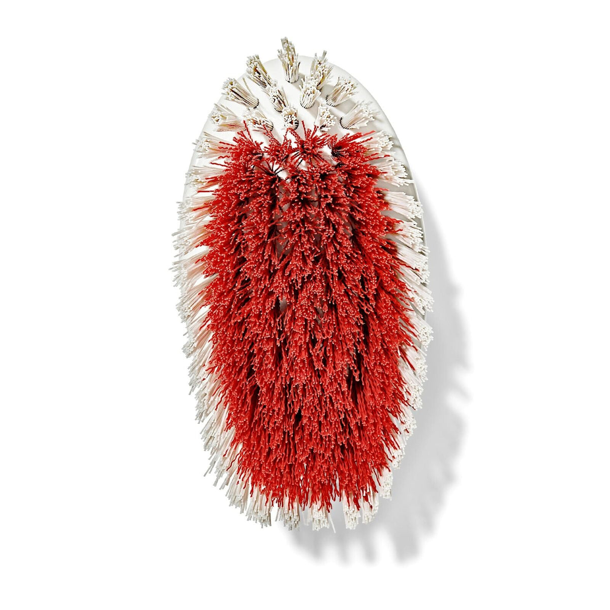 all-purpose-scrub-brush-2-pack-w4 gg_12426000_scrub-brush-2-pack_pdp_07.jpeg