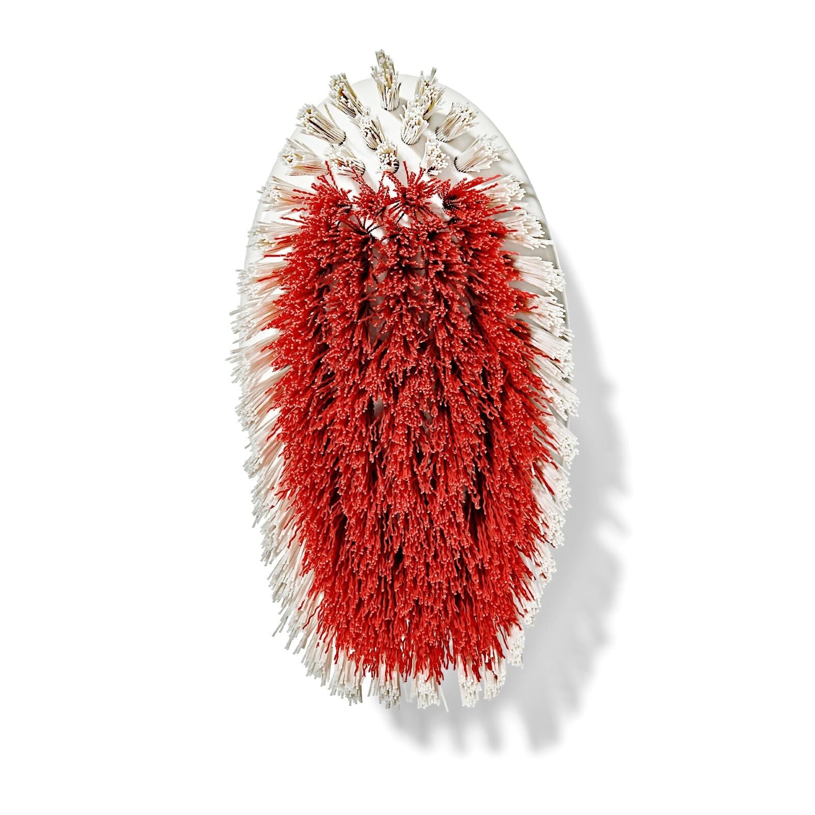 all-purpose-scrub-brush-2-pack-w4 gg_12426000_scrub-brush-2-pack_pdp_07.jpeg