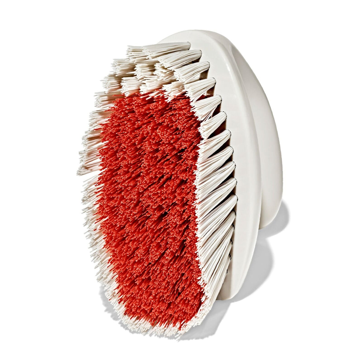 all-purpose-scrub-brush-2-pack-w4 gg_12426000_scrub-brush-2-pack_pdp_09.jpeg