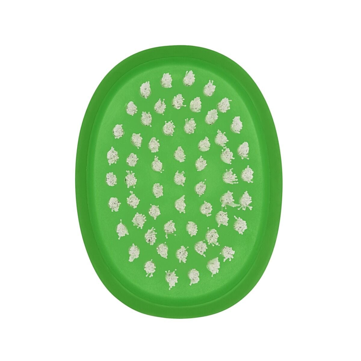 vegetable-brush-g1 gg_33781_2a.jpg