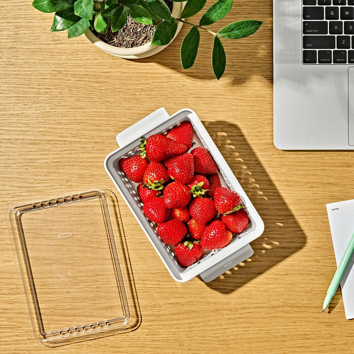 produce-saver-berry-keeper-2-piece-set-h5 gg_berry-keeper-produce-saver_pdp_01_1_.jpg