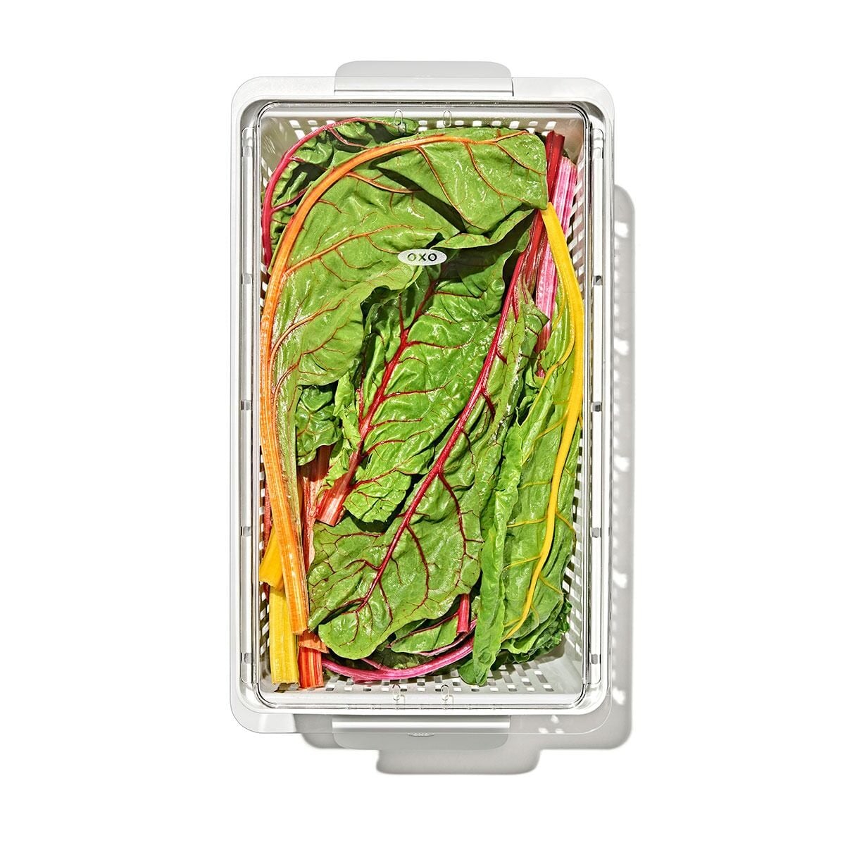 produce-saver-large-bin-r0 gg_sw_produce-saver-large_10.jpg