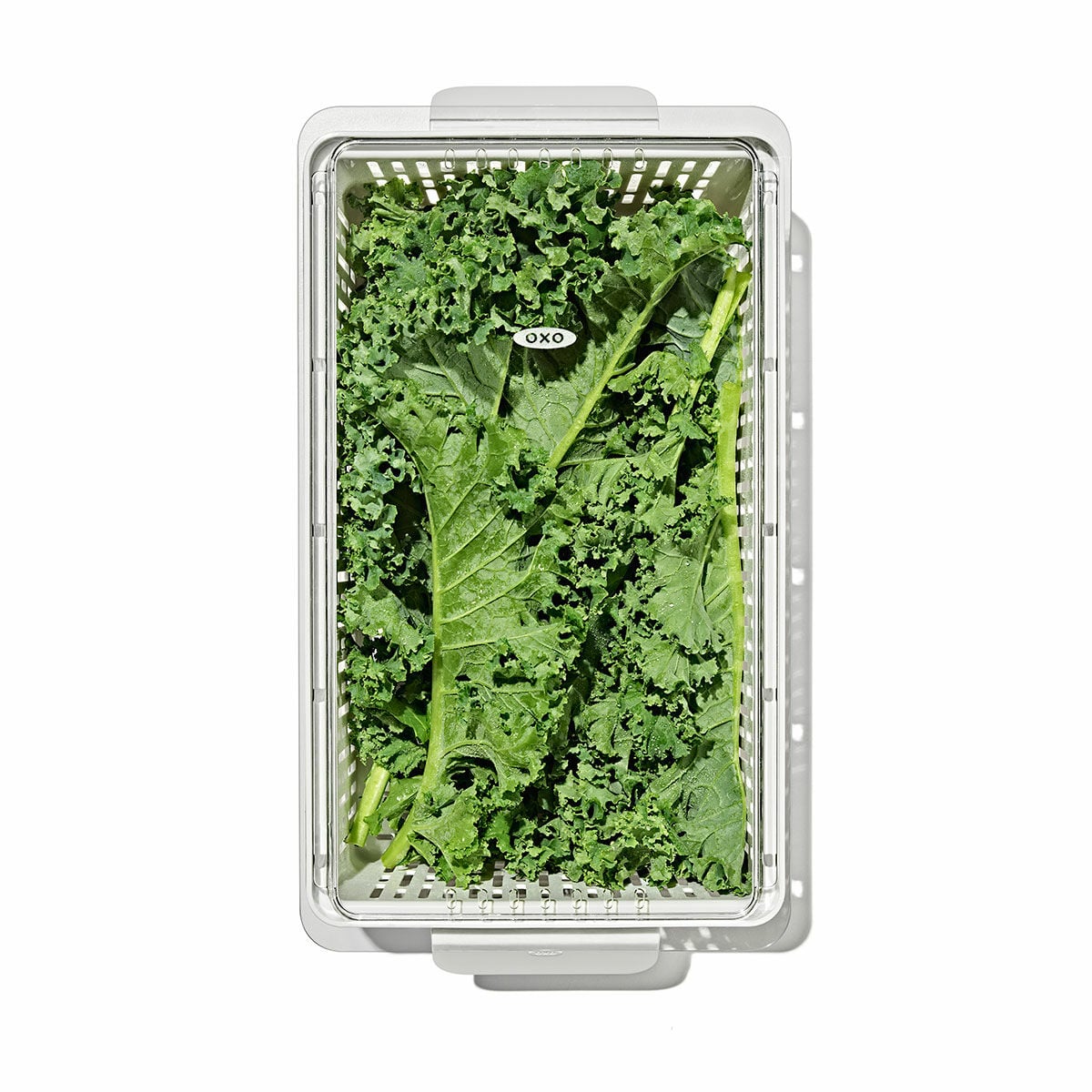 produce-saver-medium-bin-m5 gg_sw_produce-saver-medium_05.jpg