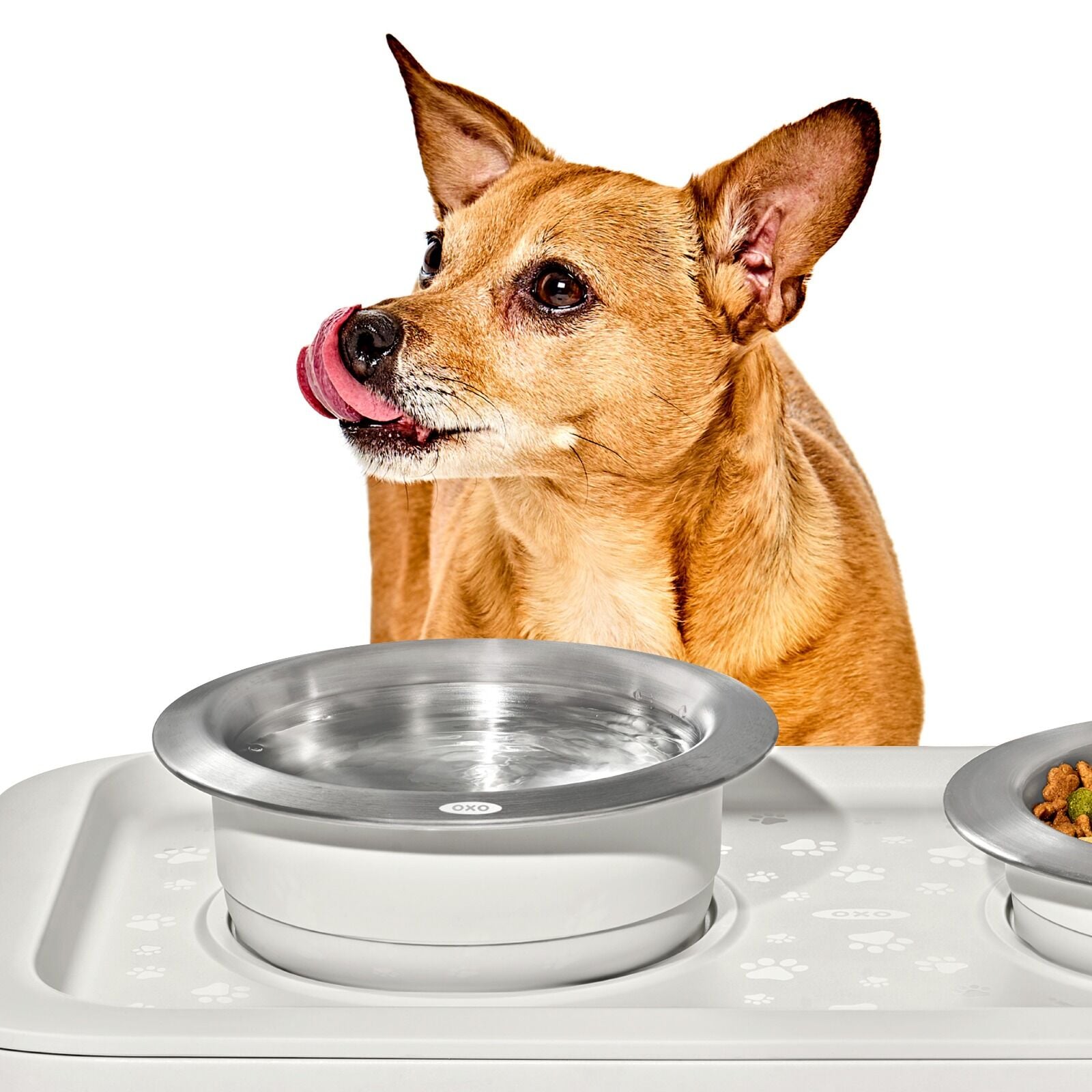 oxo-pet-nonslip-bowl-medium-2-cups-480-ml-p9 pet_7101900_nonslip-medium-bowl_pdp_02.jpeg
