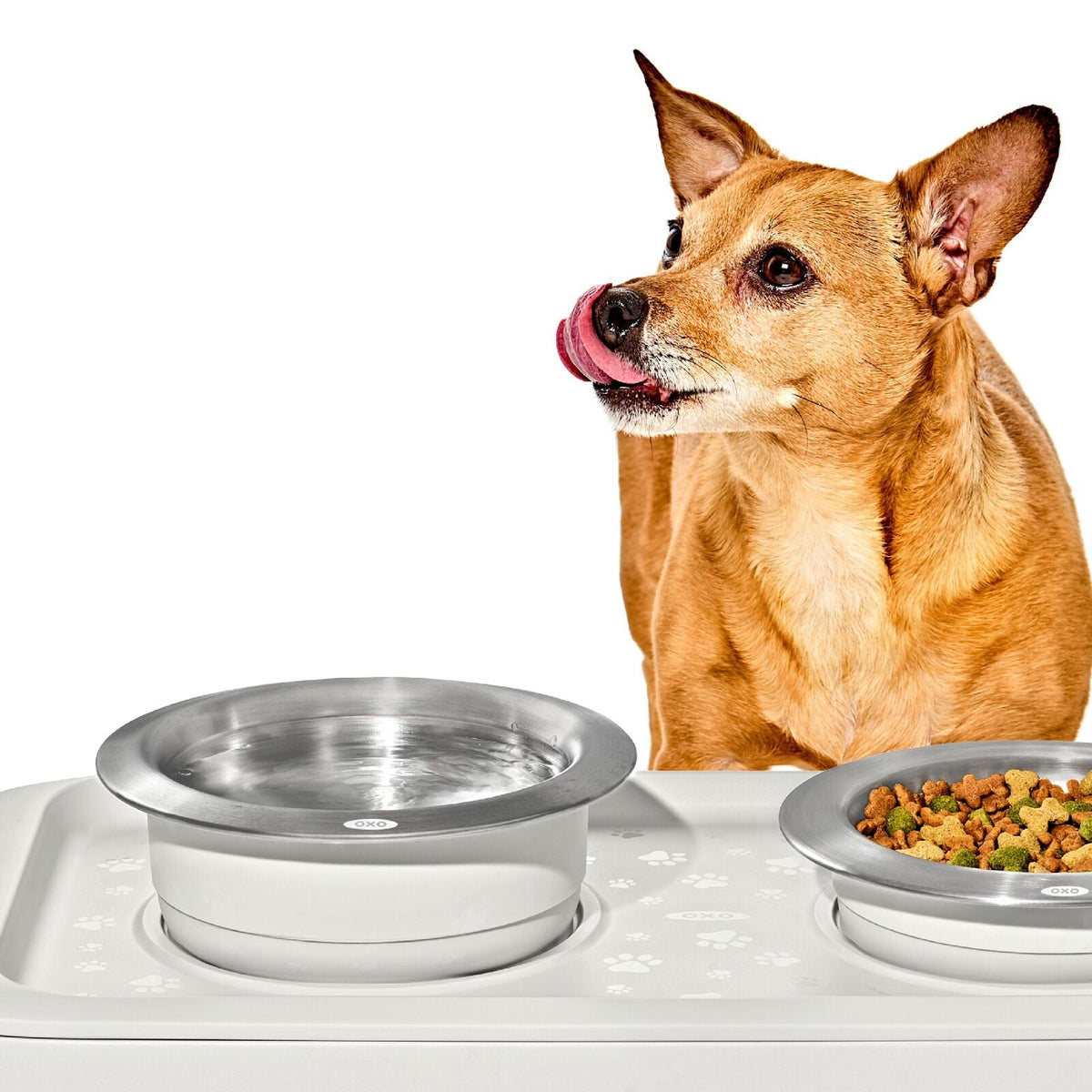oxo-pet-nonslip-bowl-large-4-cups-950-ml-f1 pet_7102000_nonslip-large-bowl_pdp_02.jpeg