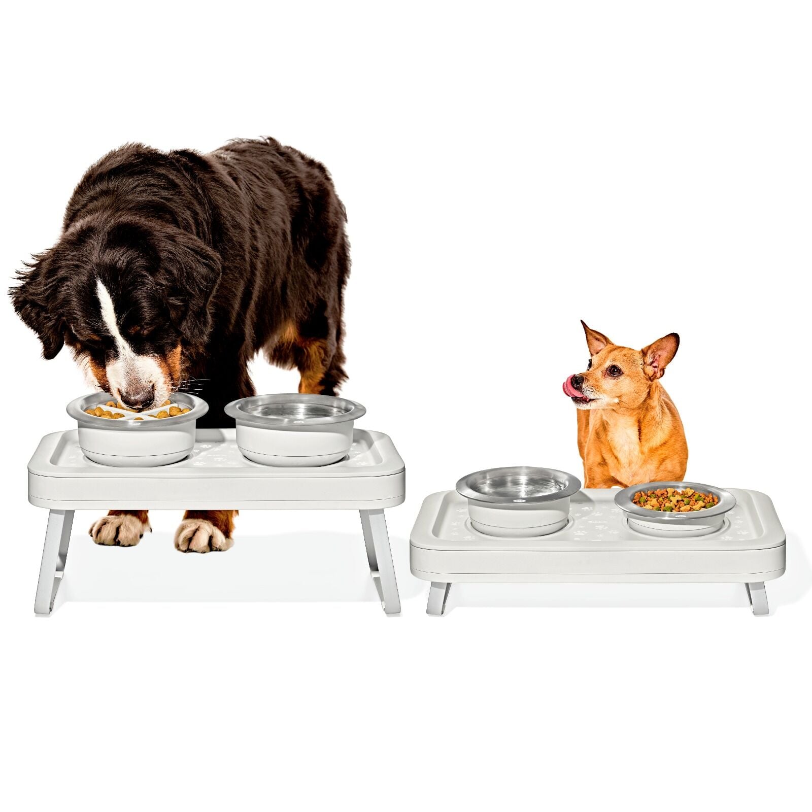 oxo-pet-adjustable-elevated-feeder-v6 pet_7102300_elevated-feeder_pdp_01.jpeg