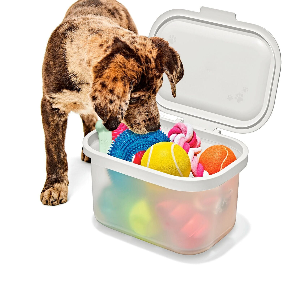 oxo-pet-multi-purpose-container-a3 pet_7301300_multi-purpose-container_pdp_06.jpeg