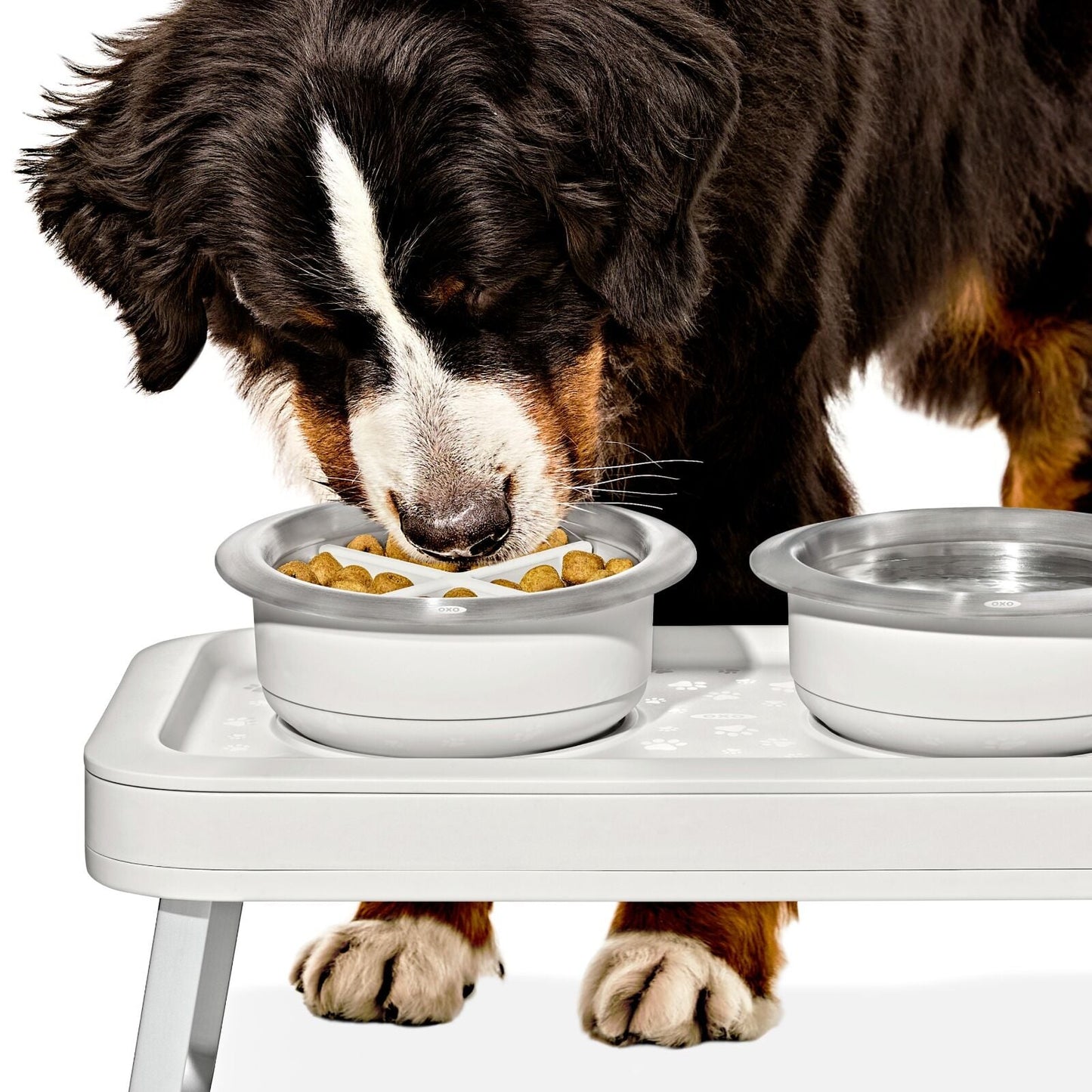oxo-pet-easy-clean-slow-feeder-medium-2-cups-489-ml-v7 pet_slow-feeder-medium-large_pdp_02_1.jpeg
