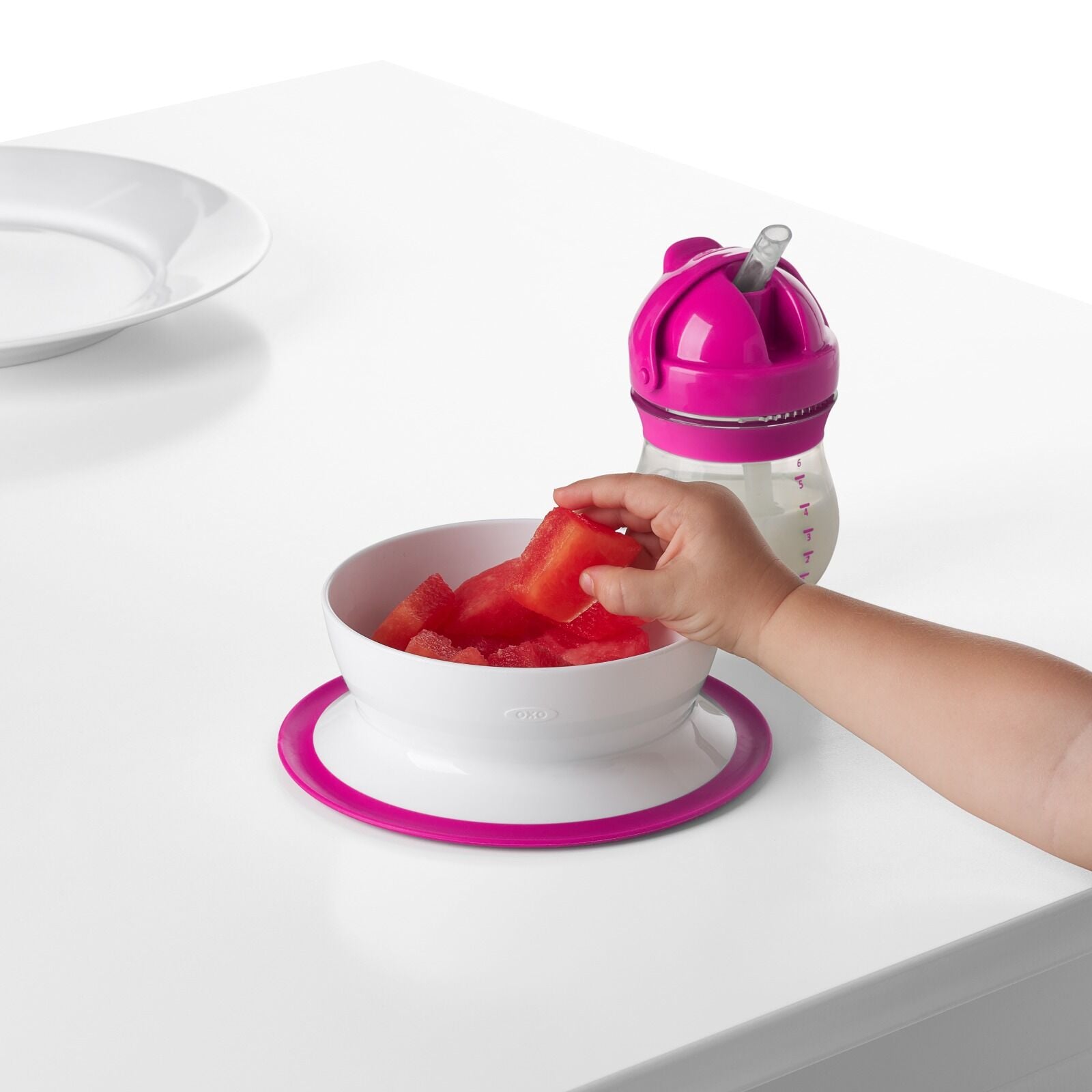 stick-and-stay-suction-bowl-x0 tot_61120500_4i.jpg
