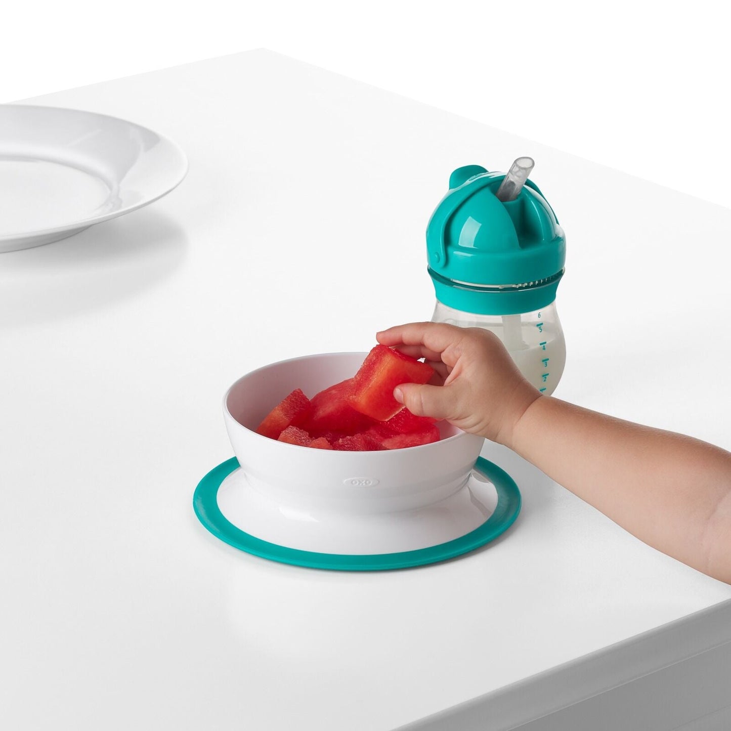 stick-and-stay-suction-bowl-e0 tot_61120600_4i.jpg
