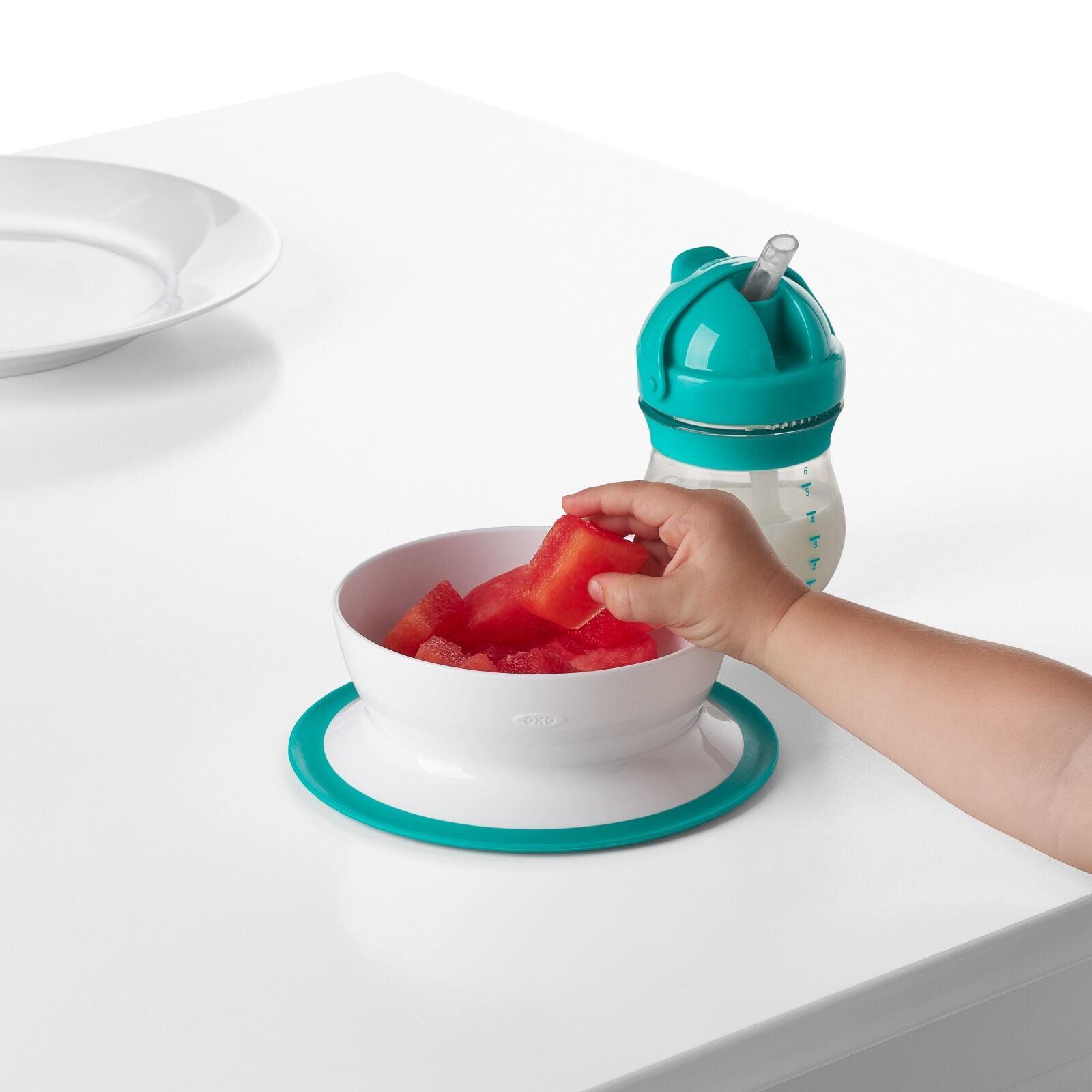 stick-and-stay-suction-bowl-e0 tot_61120600_4i.jpg