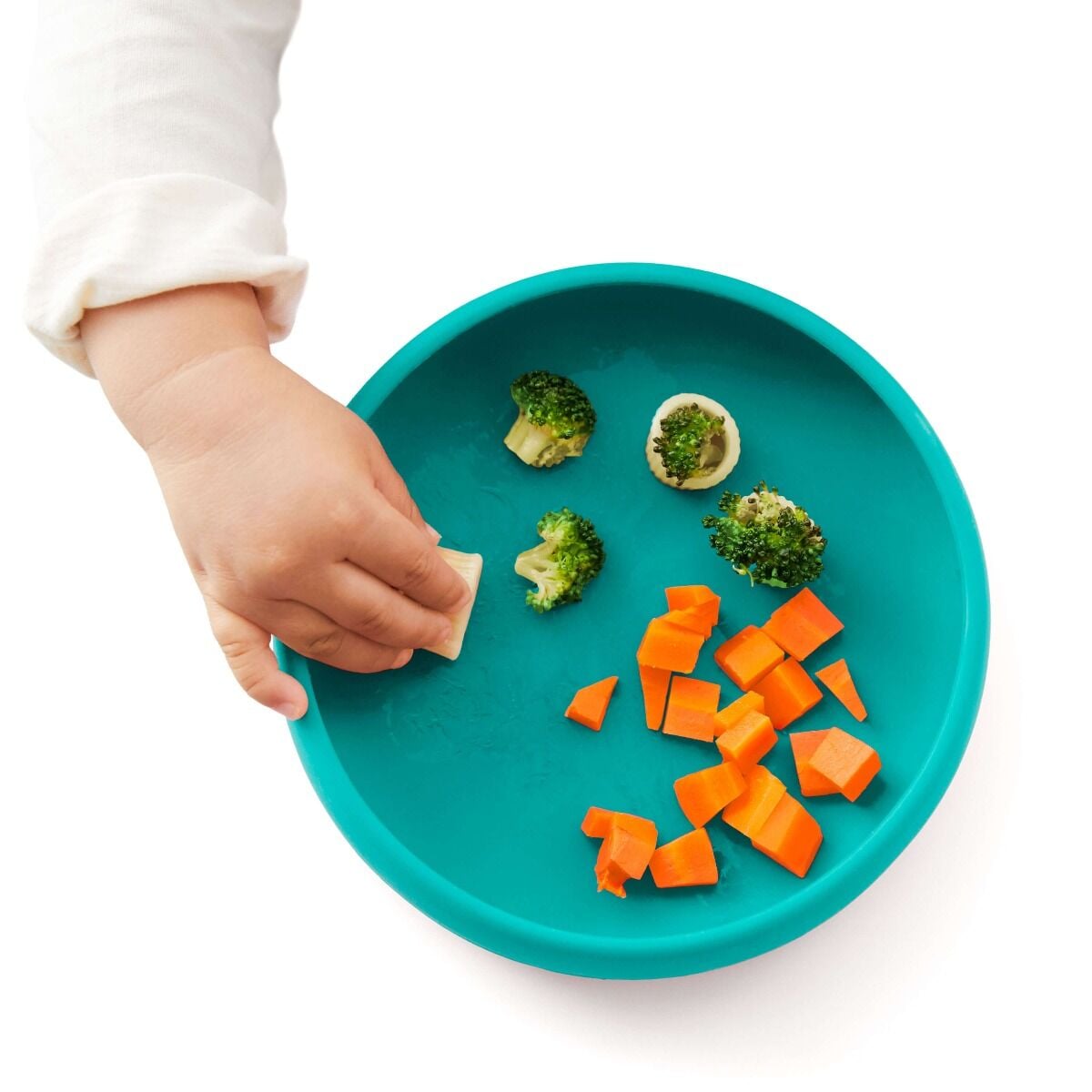 silicone-plate-b8 tot_61149500_17_food_emma_9b_1_.jpg
